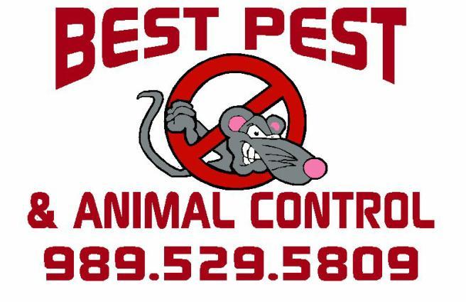 Best Pest & Animal Control
