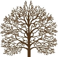 Relative Roots