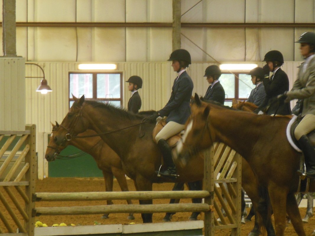 Pine Hill Equestrian