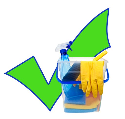Cleaning Professional