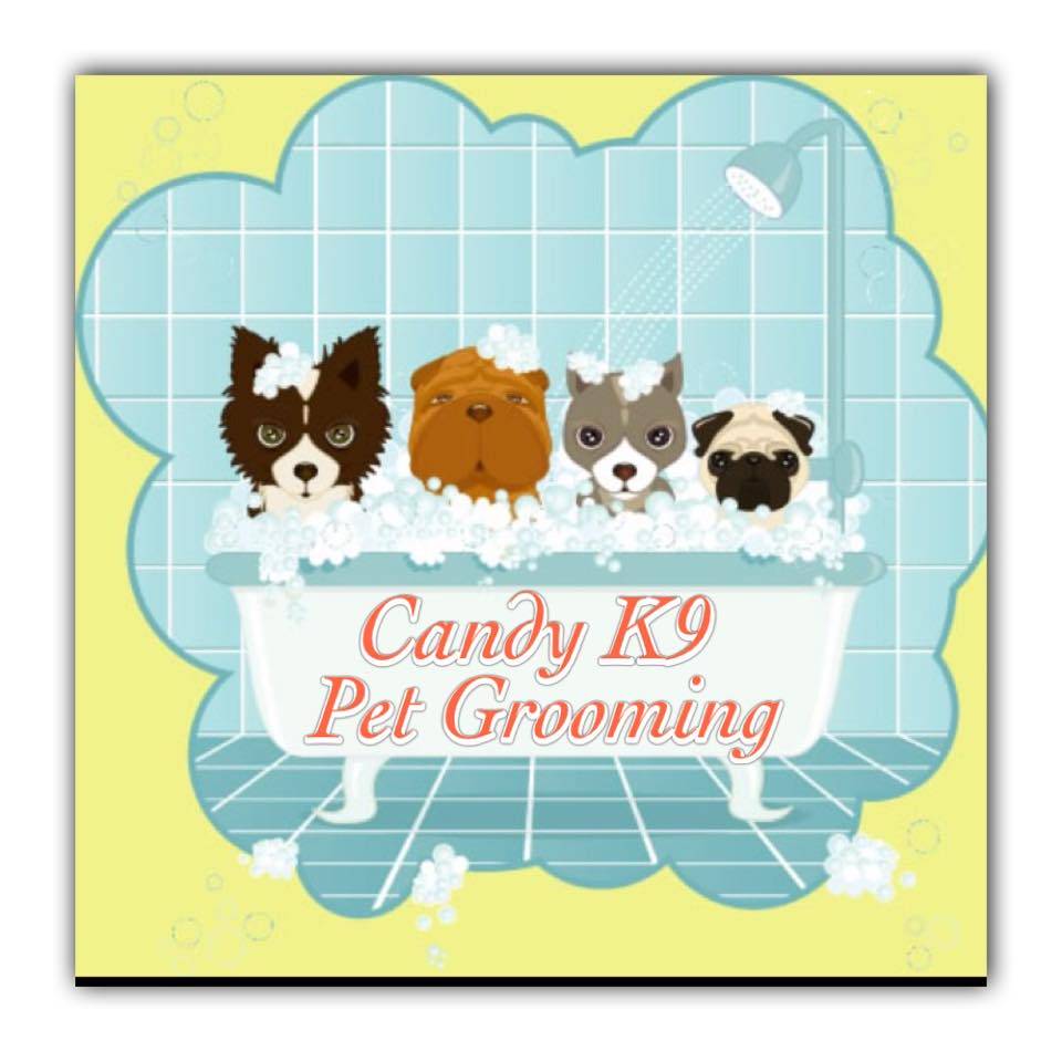K9 top pet grooming