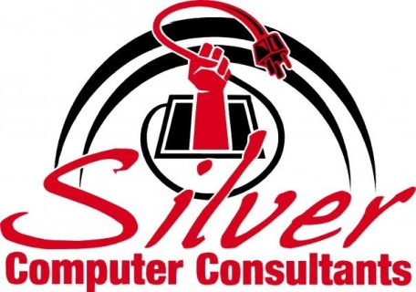 computer consultants