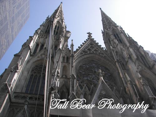 Tall Bear Photography