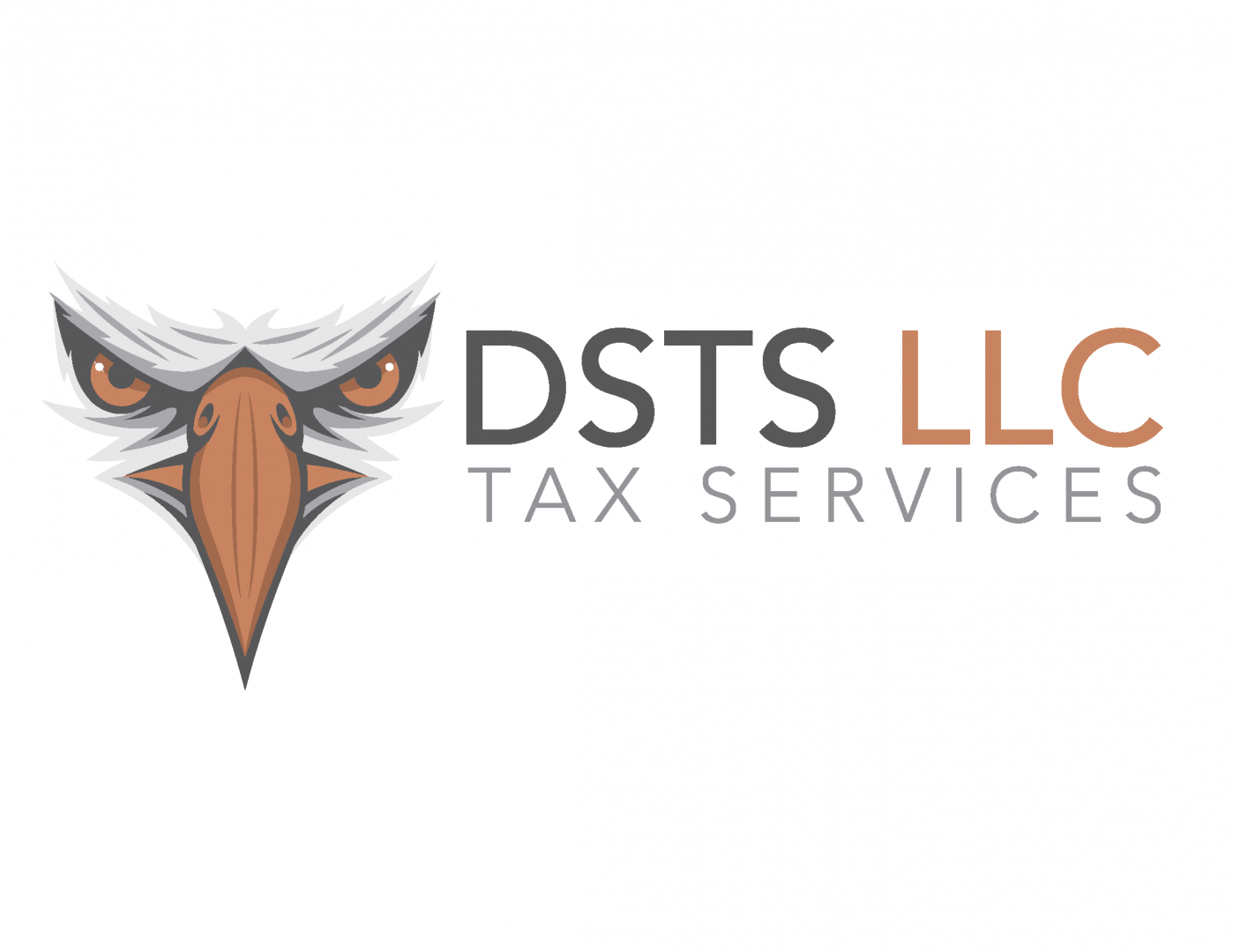 DSTS LLC Tax Service
