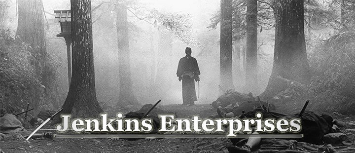 JENKINS ENTERPRISES X, LLC
