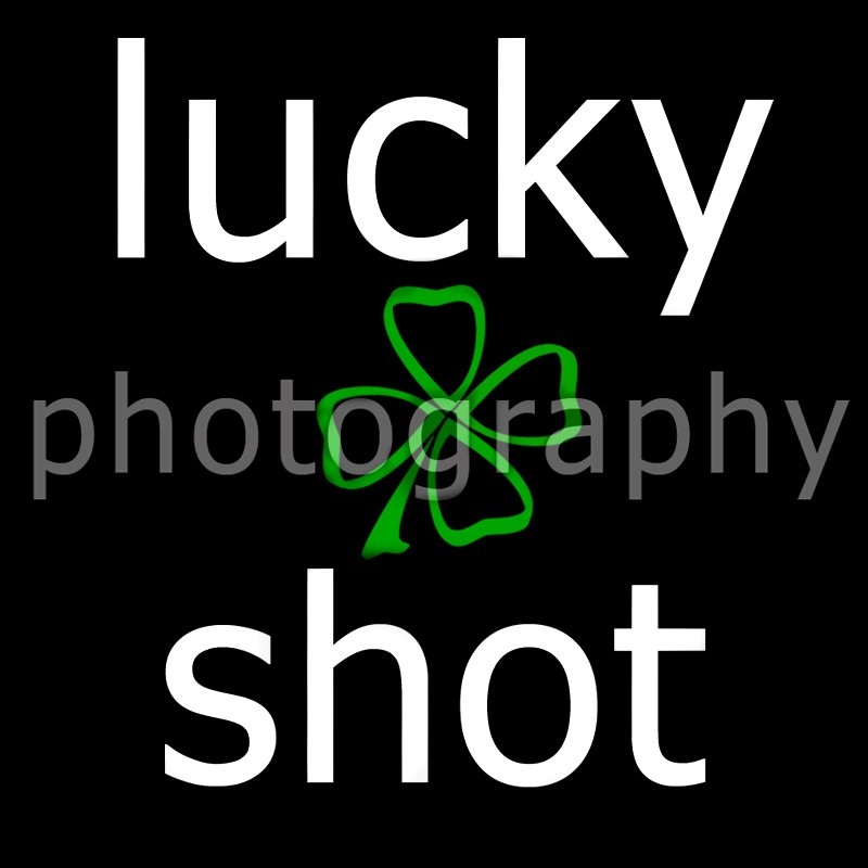 Lucky Shot Photography