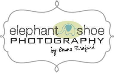 Elephant Shoe Photography
