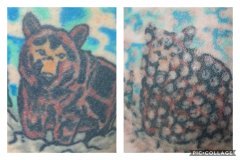 Transitions Face & Body Non-Laser Tattoo Removal