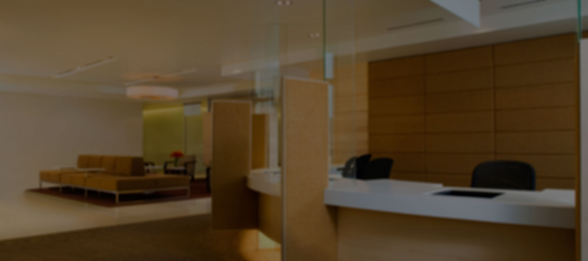 Cool Dog Grooming Studio LLC